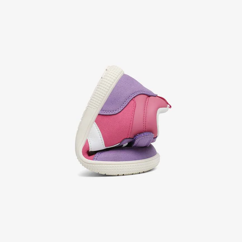 wonderland i saguaro rosa lila