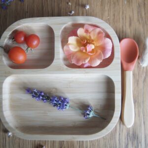 plato bambu ventosa