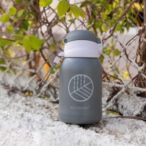 botella inox eco rascals gris